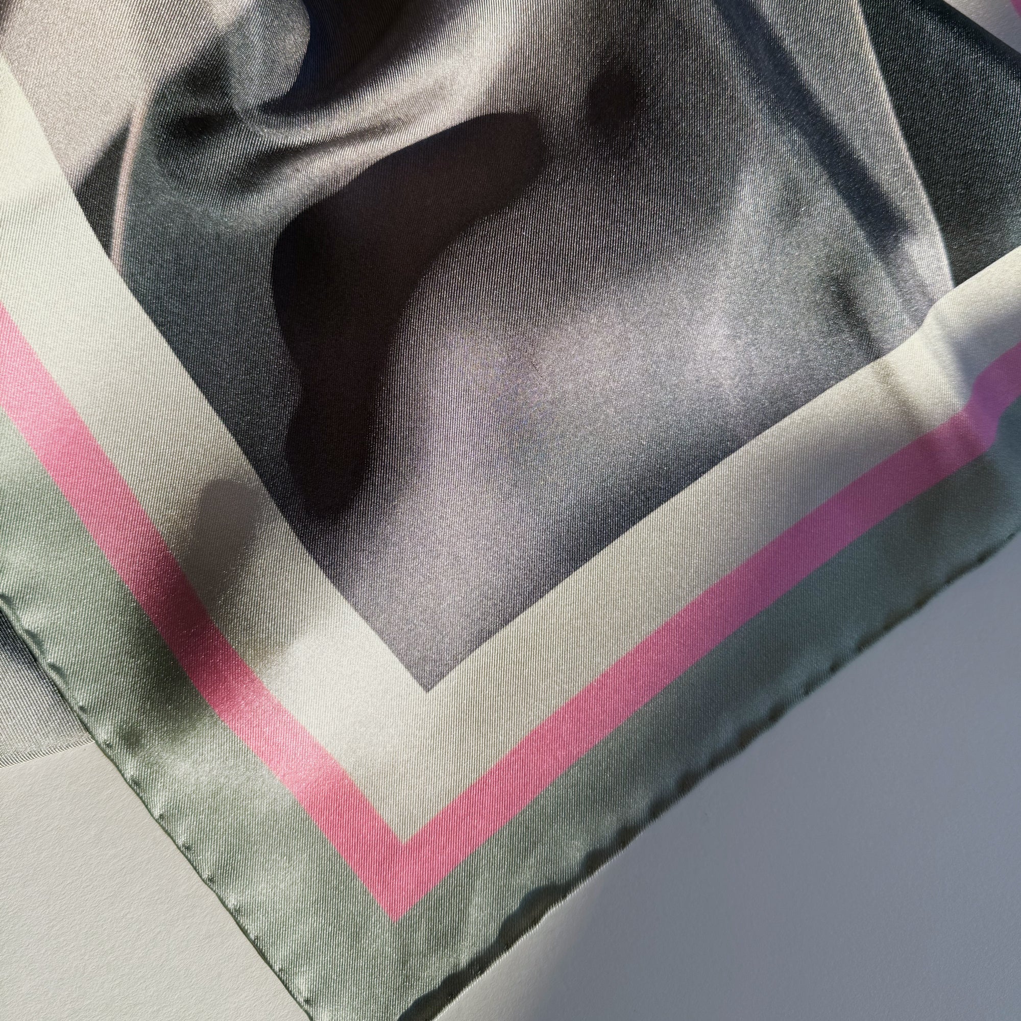 Foxtail Agave with pink border Silk Scarf