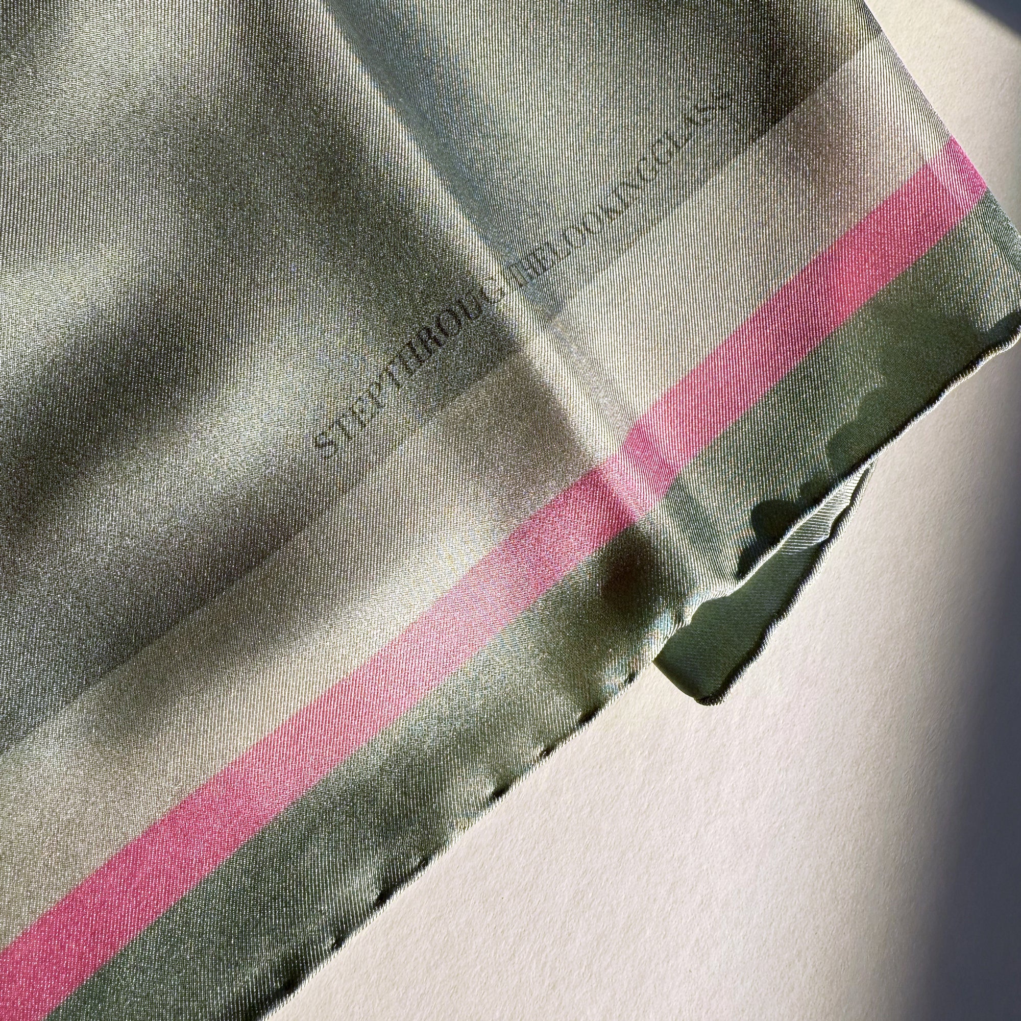Foxtail Agave with pink border Silk Scarf