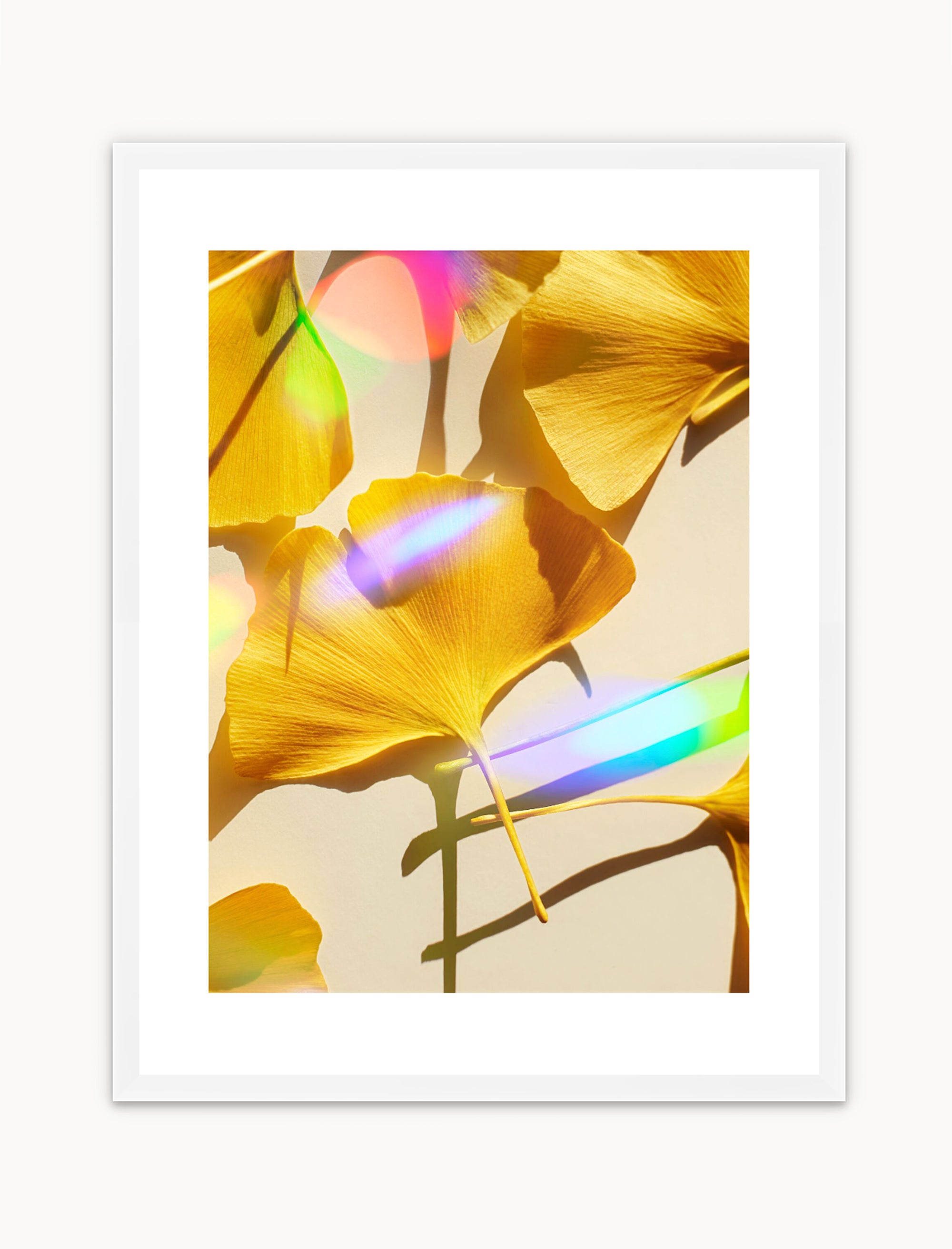 Ginkgo & Rainbows No2