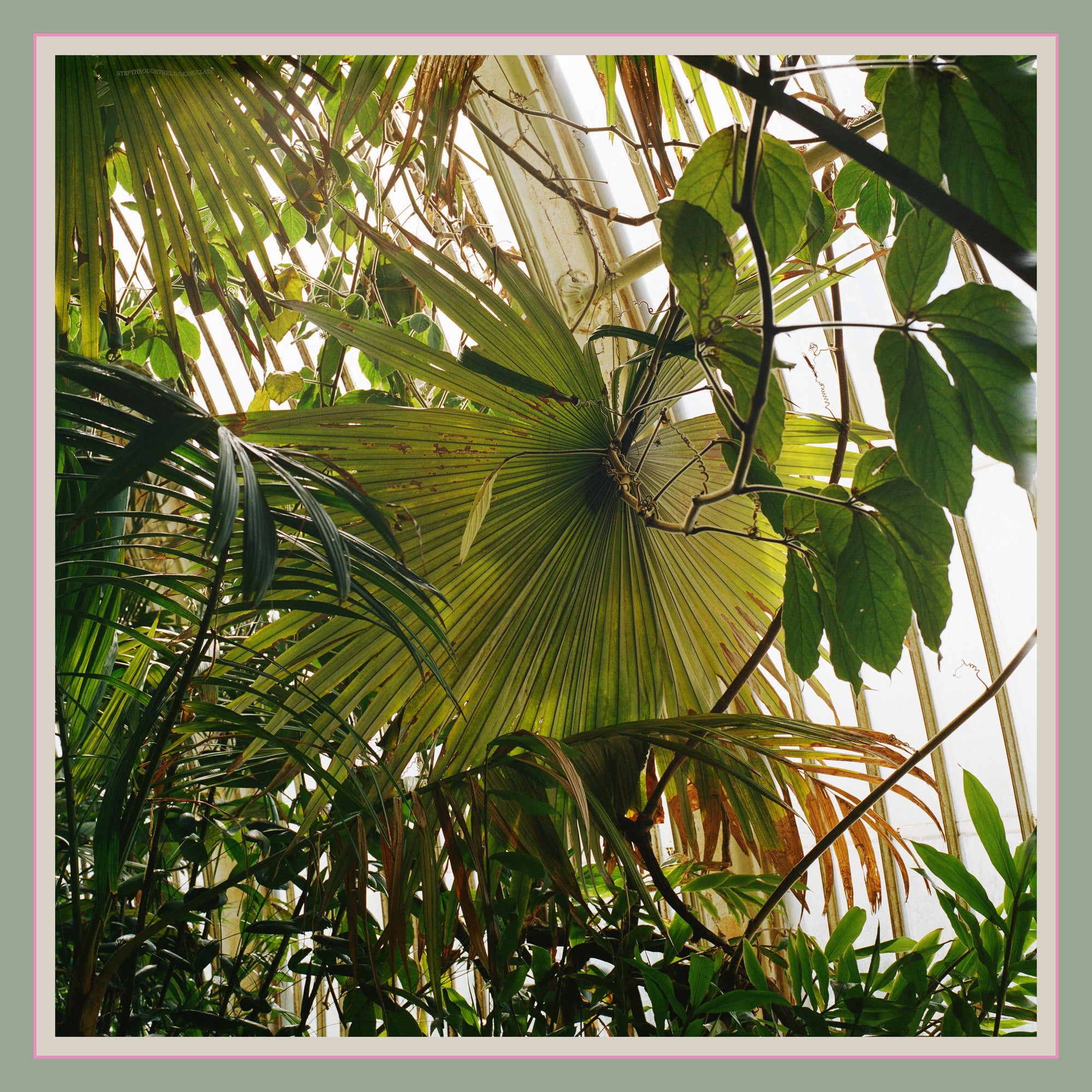 Wabi-Sabi No2 Silk Scarf XL 134cm x 134cm