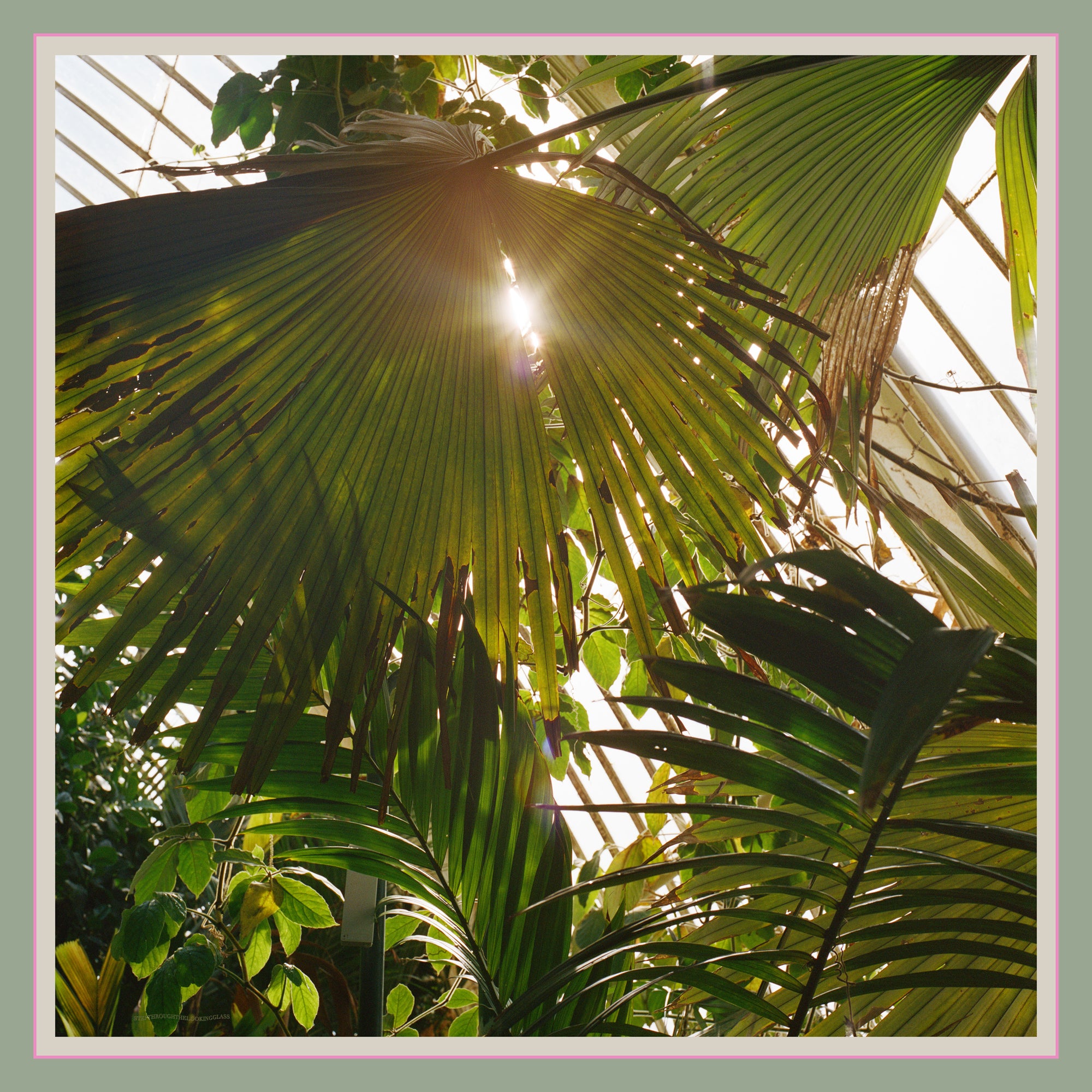 Wabi-Sabi No1 Silk Scarf XL 134cm x 134cm