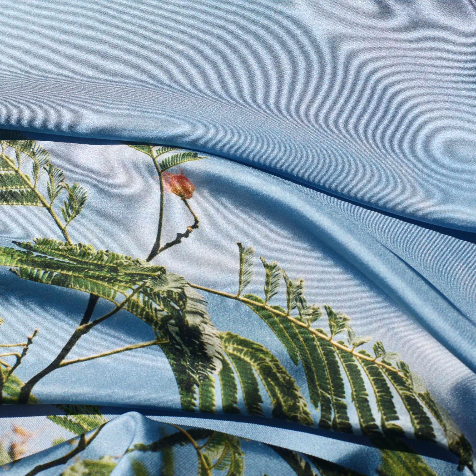 Silk Tree with pink border Silk Scarf