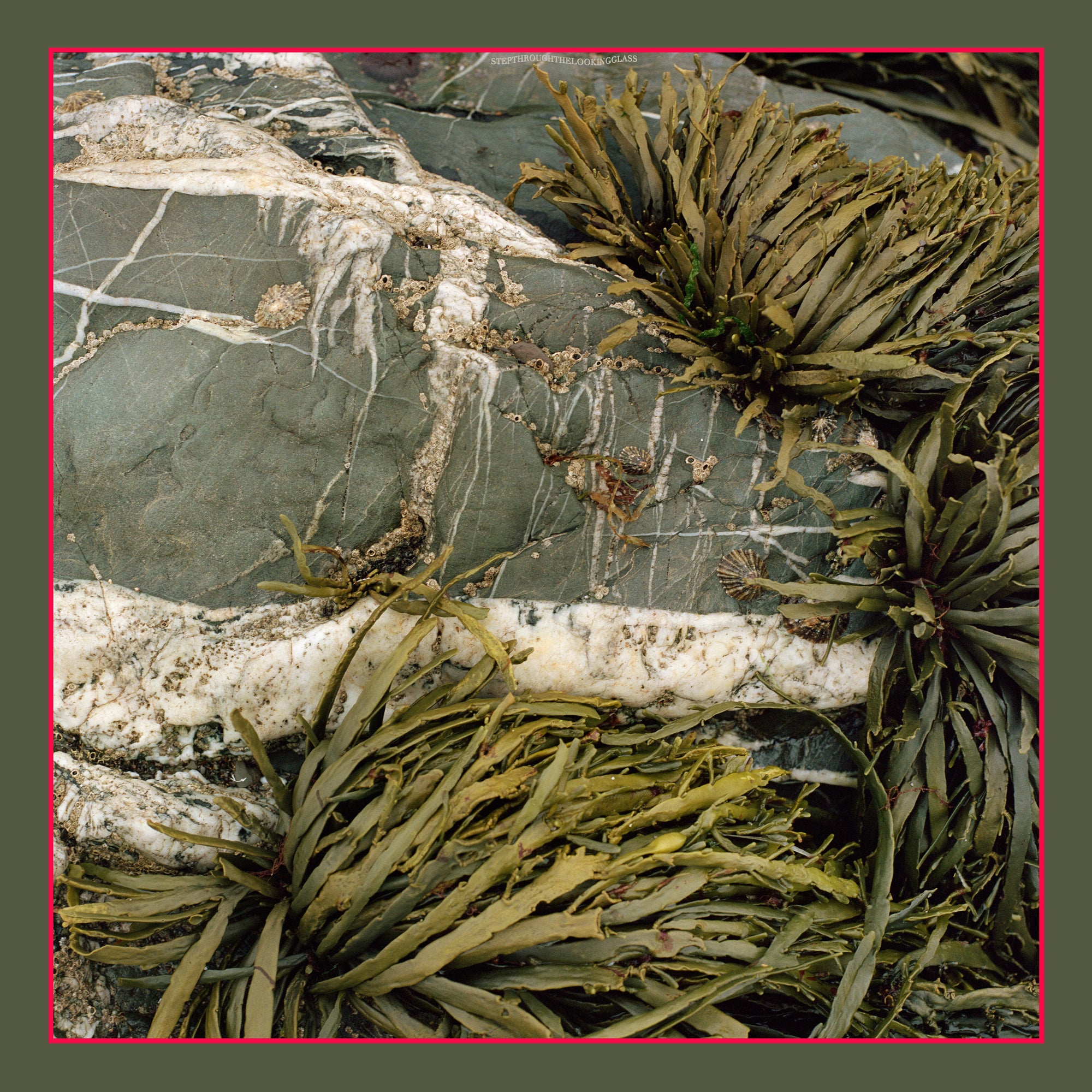 Wunderstein No1 Silk Scarf 90cm x 90cm