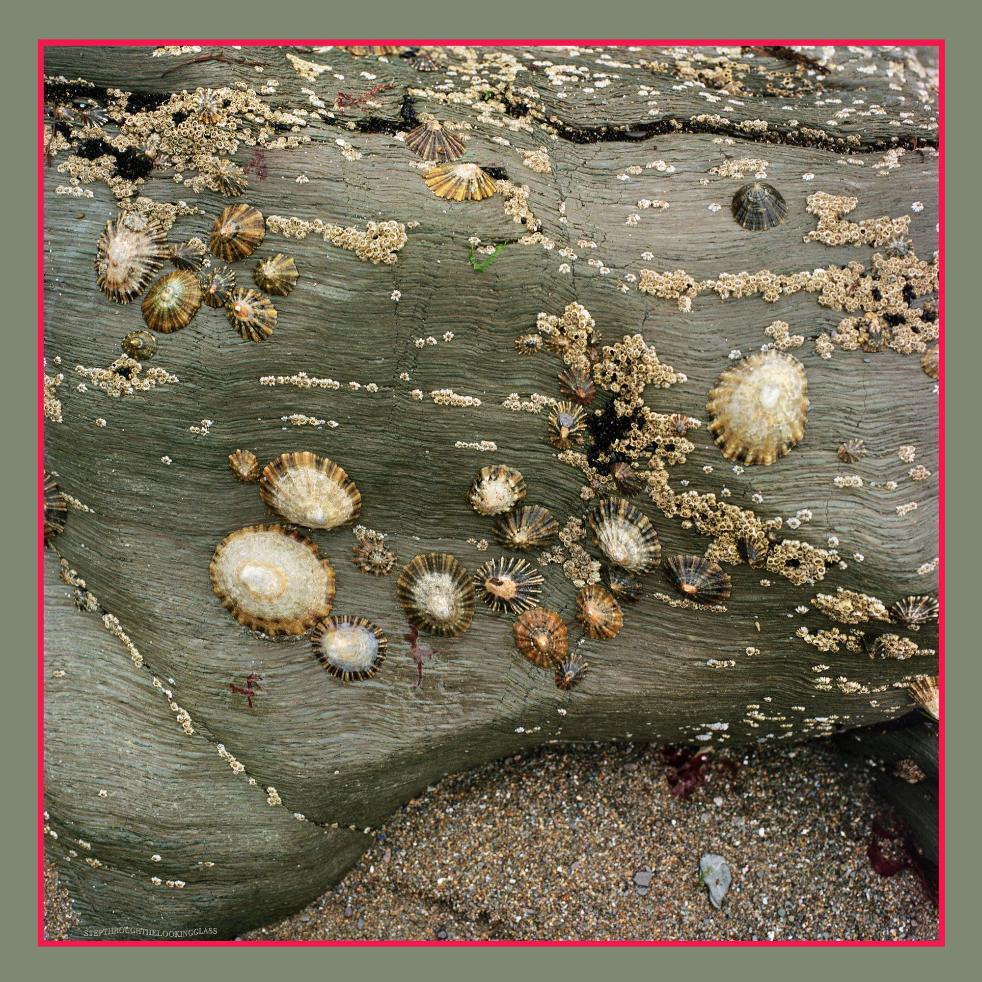 Wunderstein No3 Silk Scarf 90cm x 90cm